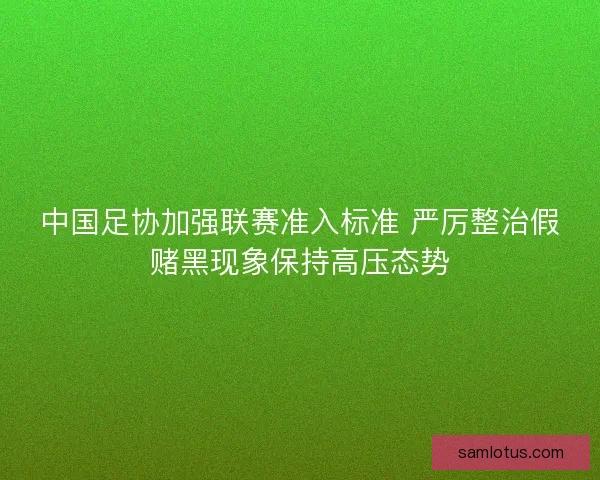 中国足协加强联赛准入标准 严厉整治假赌黑现象保持高压态势